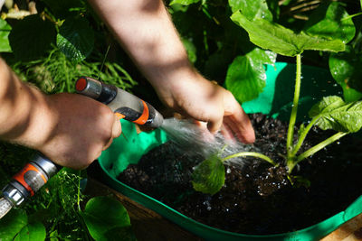 Close-up of human hands watering plants