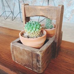 High angle view of potted plants on table