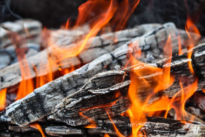 Close-up of firewood