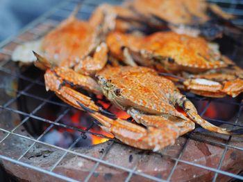 Crab grill