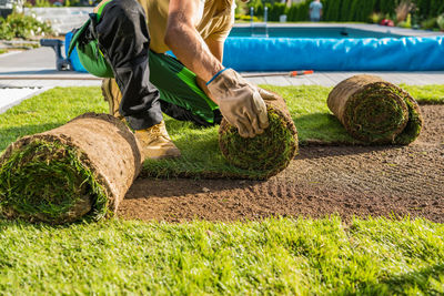 Low section of man exercising on field