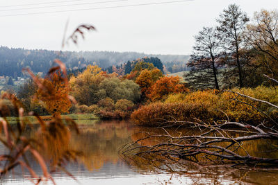 Plants by lake against sky during autumn