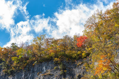 Low angle view of autumnal trees against sky