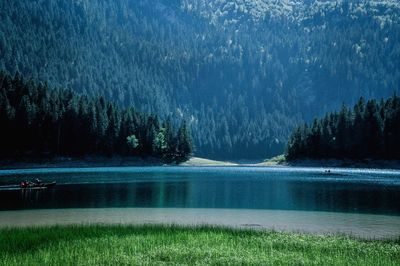 Scenic view of lake in forest