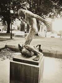 Dog standing on tree trunk