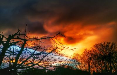 Low angle view of silhouette bare trees against dramatic sky