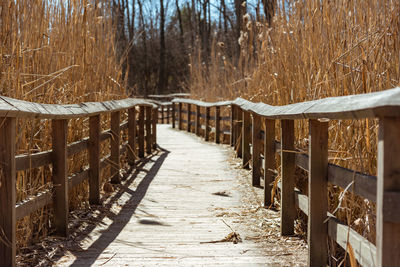 View of wooden footbridge in forest