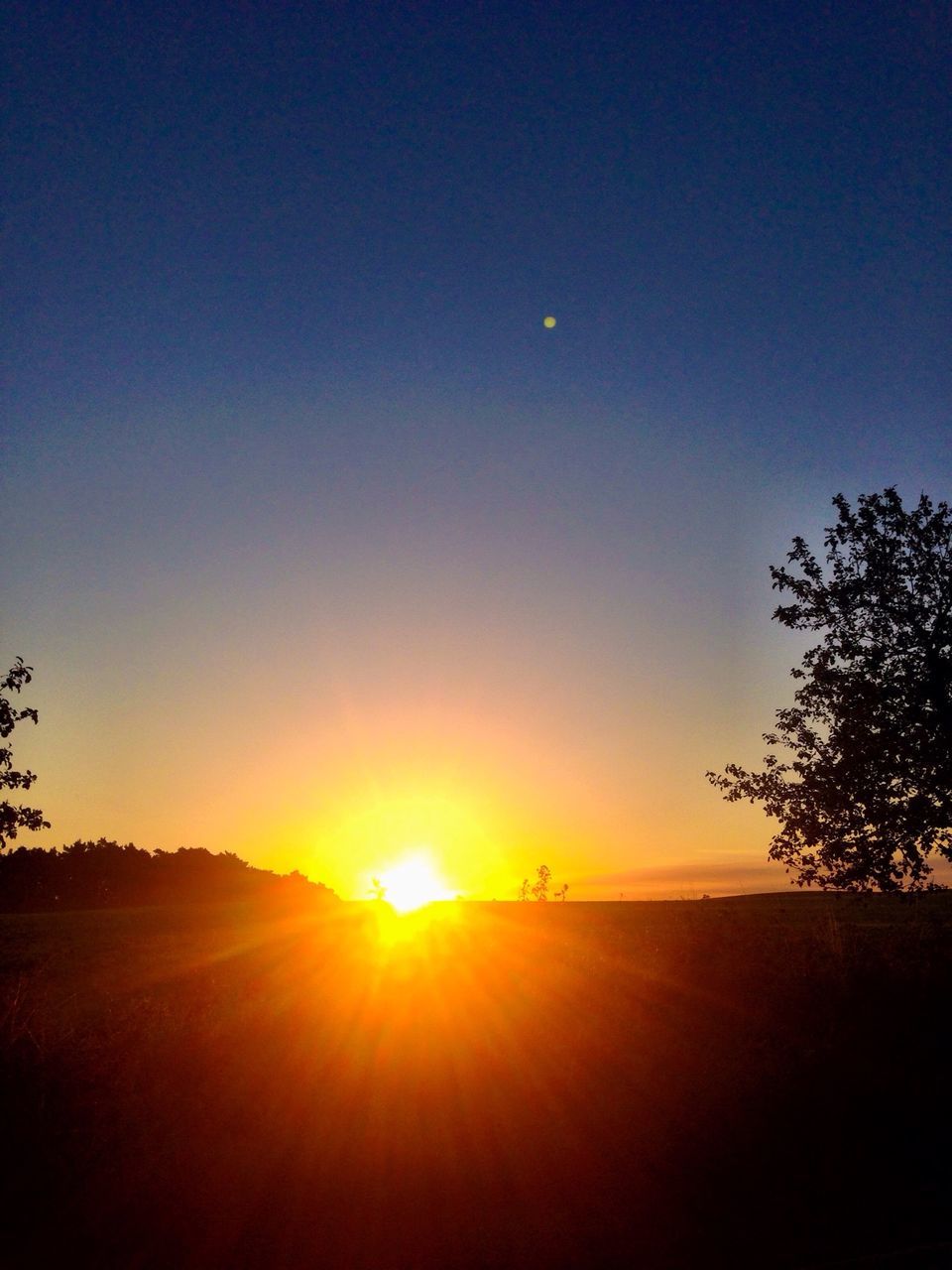 sun, sunset, clear sky, sunlight, tranquil scene, tranquility, copy space, scenics, silhouette, sunbeam, lens flare, landscape, beauty in nature, nature, tree, idyllic, blue, field, bright, sky