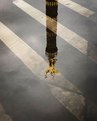 High angle view of reflection in puddle on street