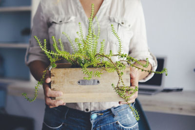 Midsection of woman holding potted plant