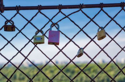 Padlocks hanging on chainlink fence