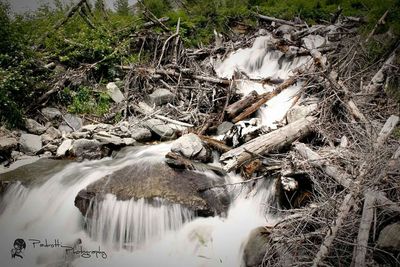 Stream flowing through rocks in forest