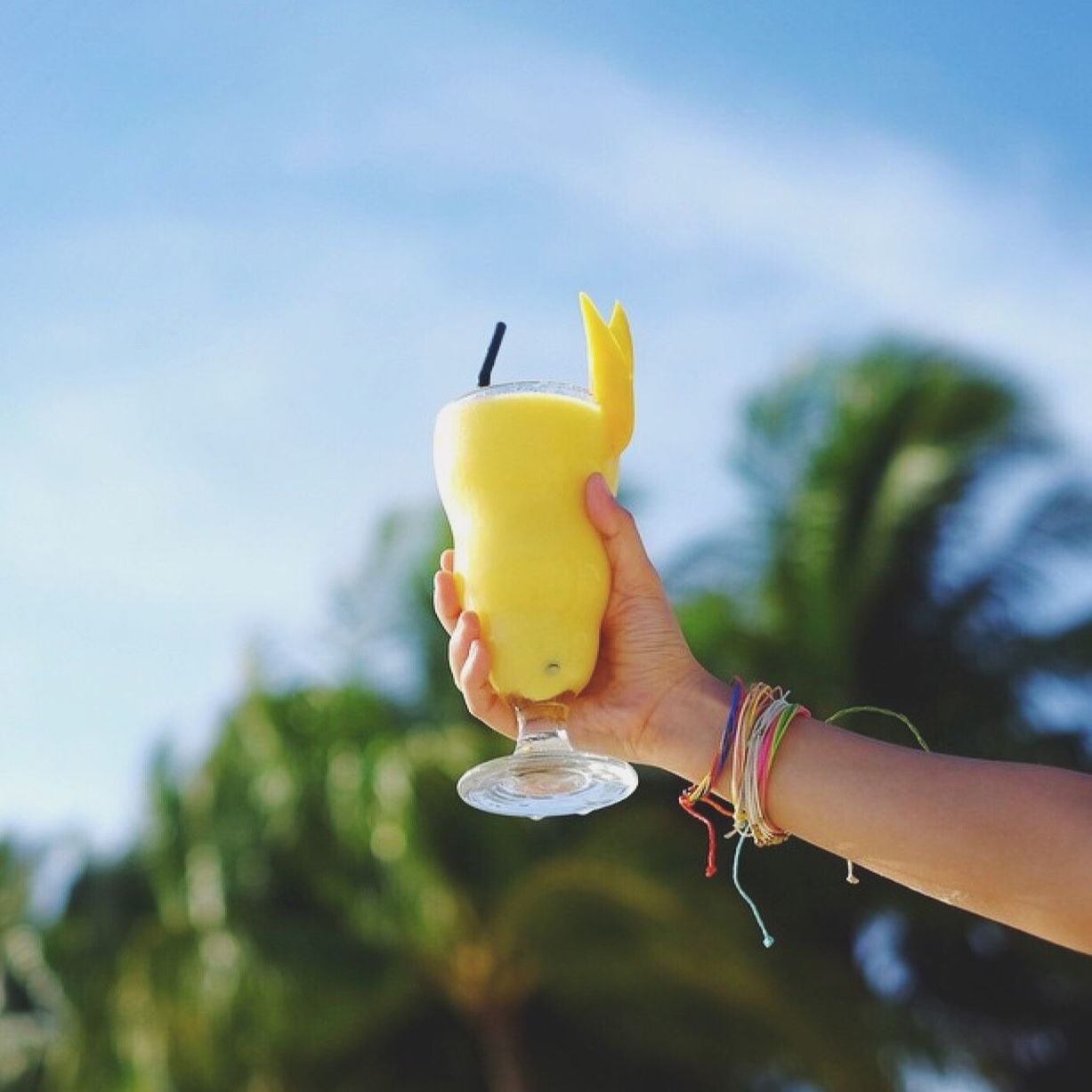 person, holding, yellow, lifestyles, focus on foreground, leisure activity, sky, human finger, part of, cropped, unrecognizable person, close-up, flower, outdoors, nature, freshness