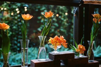 Close-up of orange flowers in vase