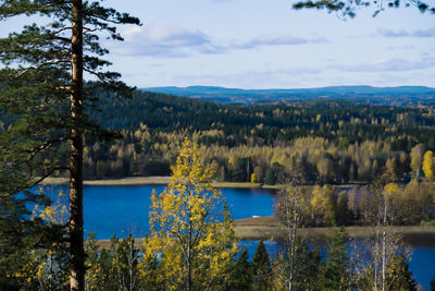 Scenic view of calm lake surrounded by trees in town