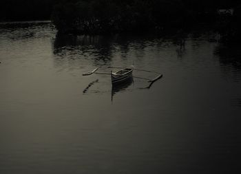 Bird swimming in water