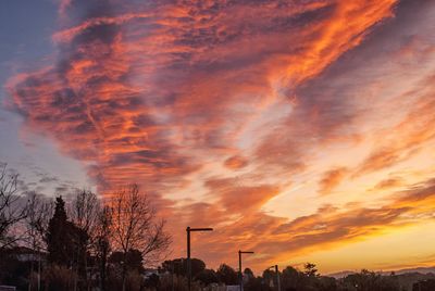 Low angle view of silhouette trees against dramatic sky