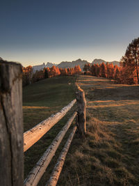 Scenic view of field against clear sky