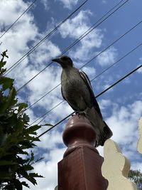 Low angle view of bird perching on cable against cloudy sky