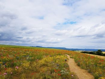 Scenic view of field against cloudy sky