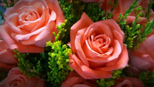 High angle view of rose bouquet