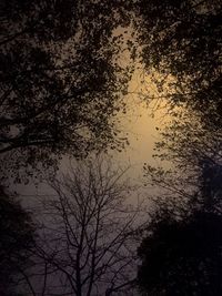 Silhouette trees by lake against sky during sunset