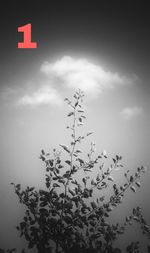 Low angle view of trees against cloudy sky