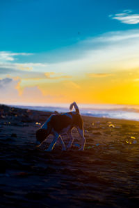 View of dog on beach during sunset