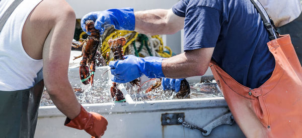 Midsection of man holding lobsters