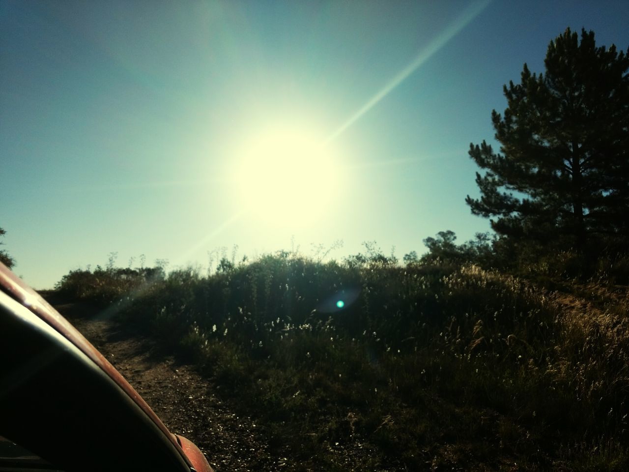 CAR AGAINST TREES AND SKY SEEN THROUGH AIRPLANE