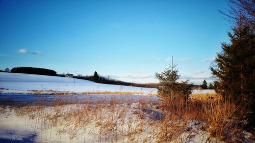 Scenic view of landscape against blue sky during winter