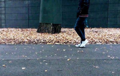 Low section of man standing on leaves