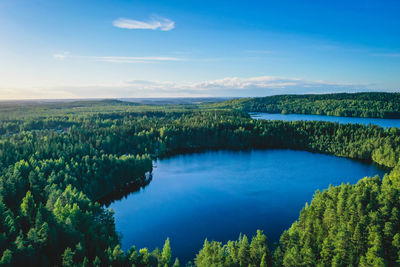 Aerial view of a blue lake and forest in finland