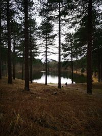 Scenic view of lake in forest against sky