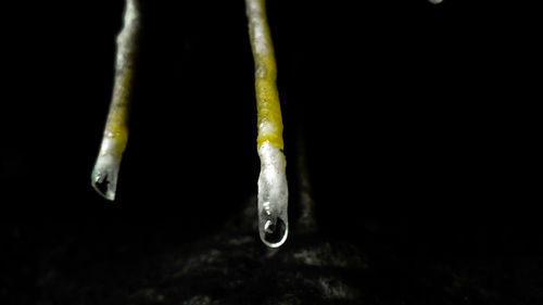 Close-up of water over black background