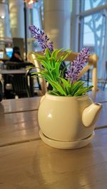 Close-up of potted plant on table at home with fresh colors