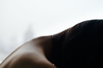 Low angle view of tree against sky