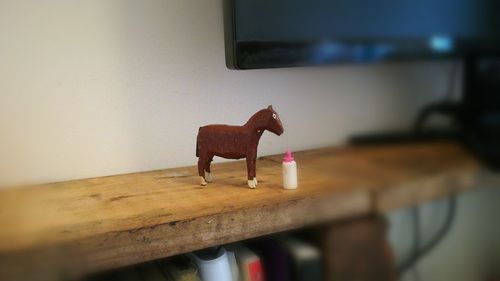 Horse in pen