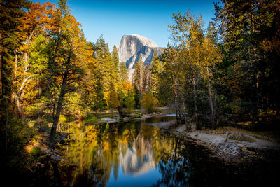 Half dome surrounded by fall colors in yosemite national park, california
