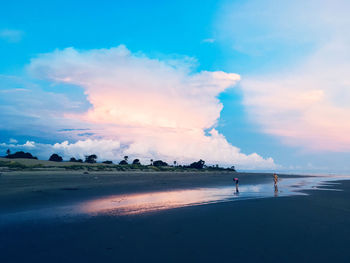Scenic view of beach against sky