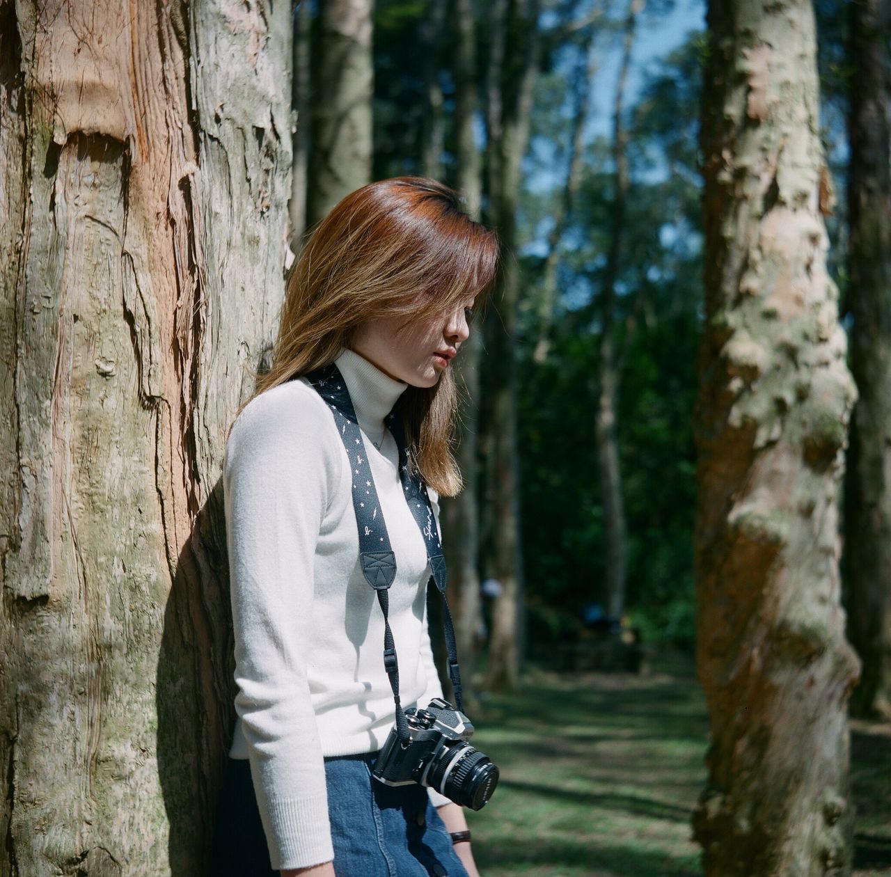 tree, tree trunk, forest, focus on foreground, lifestyles, rear view, leisure activity, casual clothing, full length, standing, side view, holding, three quarter length, young adult, sitting, waist up, person, outdoors