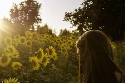 Side view of woman standing at sunflower farm