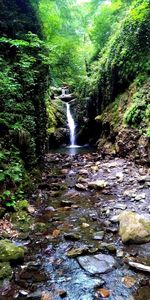 Stream flowing through rocks in forest