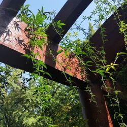 Low angle view of built structure against trees