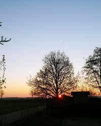 Silhouette bare trees against sky during sunset