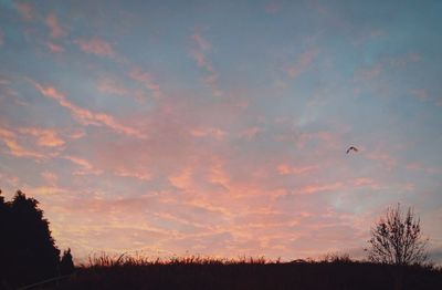 Low angle view of silhouette birds flying against sky during sunset