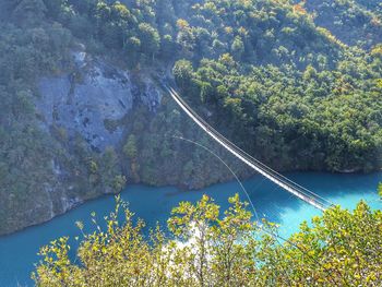 High angle view of river amidst trees