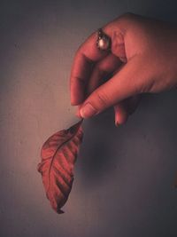 Close-up of hand holding red autumn leaf on table