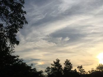 Low angle view of silhouette trees against sky