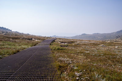 Scenic view of field against clear sky